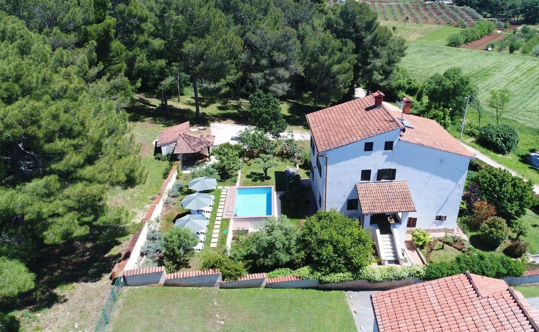 Villa House Max Mugeba
