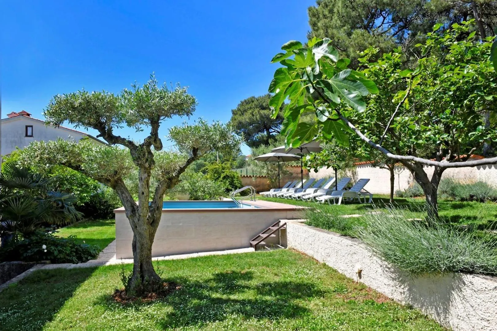 Villa House Max Mugeba